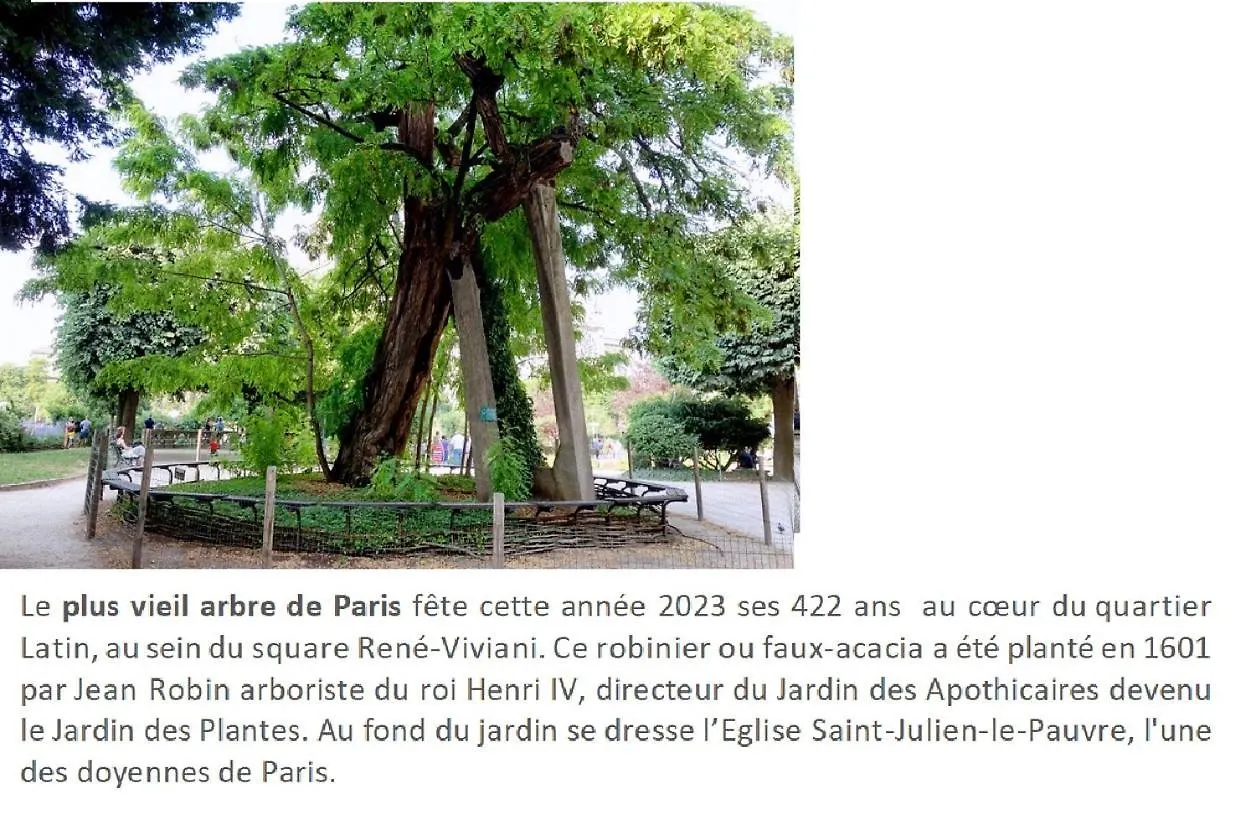 Lovely Studio Notre Dame Apartment Paris 0*,  France